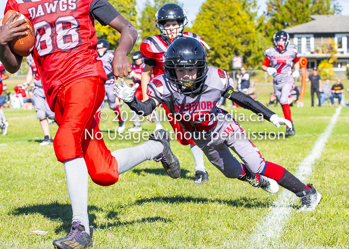 Westshore warriors Harwood Dawgs  VICFA