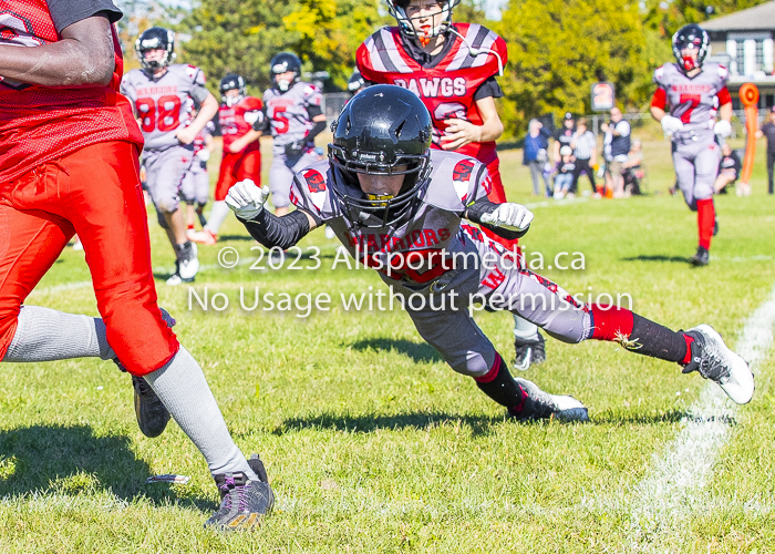 Westshore warriors Harwood Dawgs  VICFA