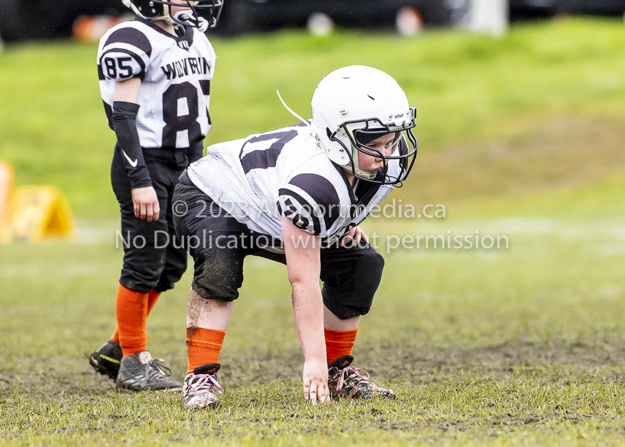 GVMFA Cowichan Bulldogs. Saanich Wolverines