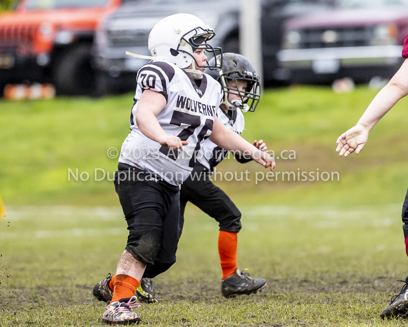 GVMFA Cowichan Bulldogs. Saanich Wolverines