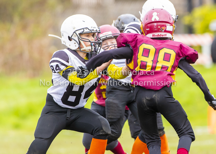 GVMFA Cowichan Bulldogs. Saanich Wolverines