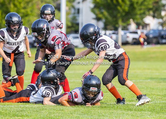 Westshore Rebels ISN Island Sports News BCFC Allsportmedia Langford Football CJFL