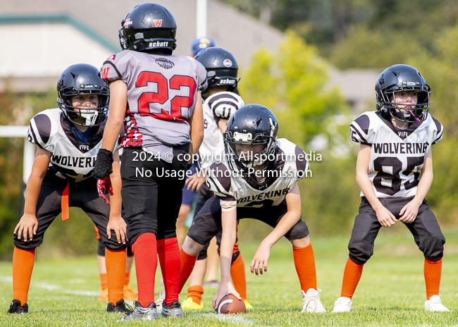 Westshore Rebels ISN Island Sports News BCFC Allsportmedia Langford Football CJFL