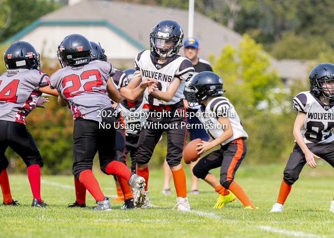 Westshore Rebels ISN Island Sports News BCFC Allsportmedia Langford Football CJFL