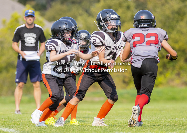 Westshore Rebels ISN Island Sports News BCFC Allsportmedia Langford Football CJFL