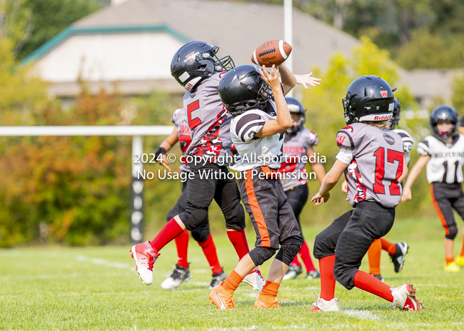 Westshore Rebels ISN Island Sports News BCFC Allsportmedia Langford Football CJFL