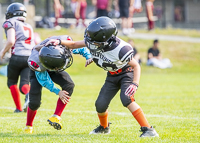 Westshore-Rebels-ISN-Island-Sports-News-BCFC-Allsportmedia-Langford-Football-CJFL