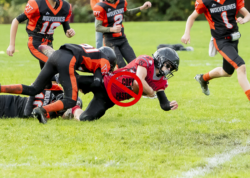 Mt Doug Rams Windsor High School Football