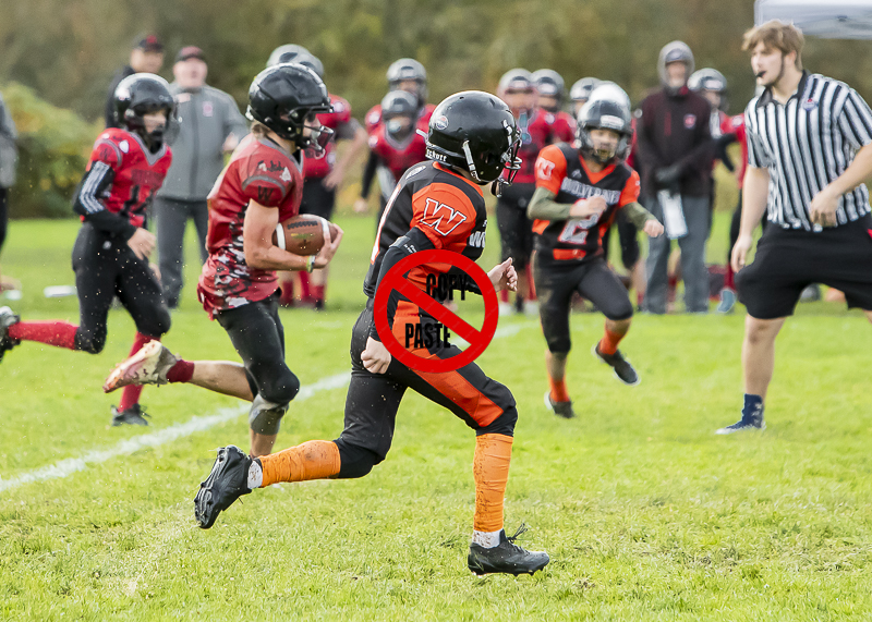 Mt Doug Rams Windsor High School Football