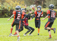 Mt-Doug-Rams-Windsor-High-School-Football