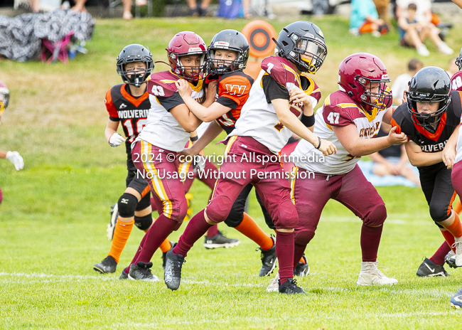 Westshore Rebels ISN Island Sports News BCFC Allsportmedia Langford Football CJFL