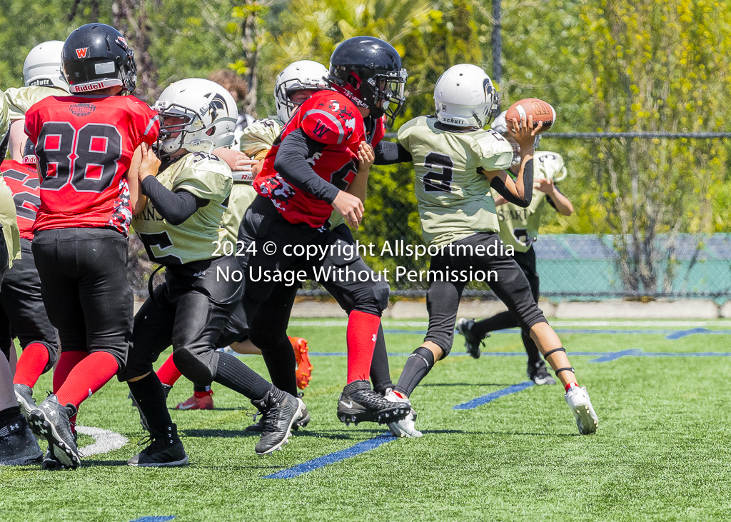 Warriors Sparrtans PeeWee football