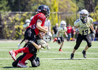 Warriors-Sparrtans-PeeWee-football