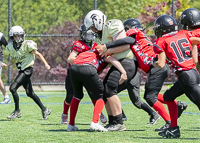 Warriors-Sparrtans-PeeWee-football