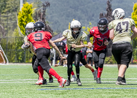 Warriors-Sparrtans-PeeWee-football