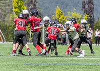 Warriors-Sparrtans-PeeWee-football