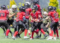 Warriors-Sparrtans-PeeWee-football