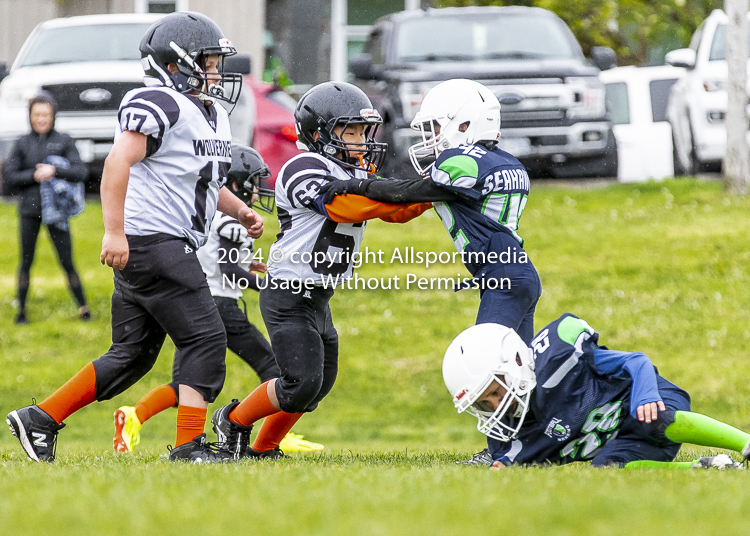 communty football Spartans Warrioirs Westshore Goudy SOUTHSIDE DAWGS  HARWOOD;communty football Spartans Warriors Westshore Goudy SOUTHSIDE DAWGS  HARWOOD cowichan bulldogs nanaimo footbAll isn