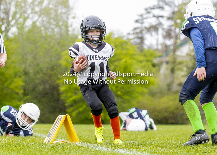 communty football Spartans Warrioirs Westshore Goudy SOUTHSIDE DAWGS  HARWOOD;communty football Spartans Warriors Westshore Goudy SOUTHSIDE DAWGS  HARWOOD cowichan bulldogs nanaimo footbAll isn