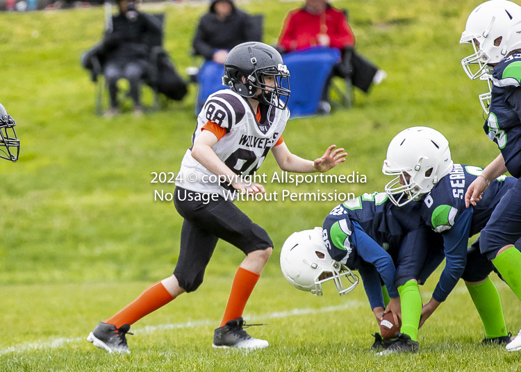 communty football Spartans Warrioirs Westshore Goudy SOUTHSIDE DAWGS  HARWOOD;communty football Spartans Warriors Westshore Goudy SOUTHSIDE DAWGS  HARWOOD cowichan bulldogs nanaimo footbAll isn