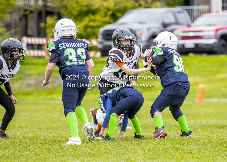 communty football Spartans Warrioirs Westshore Goudy SOUTHSIDE DAWGS  HARWOOD;communty football Spartans Warriors Westshore Goudy SOUTHSIDE DAWGS  HARWOOD cowichan bulldogs nanaimo footbAll isn