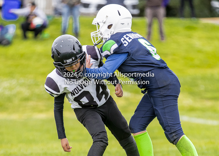 communty football Spartans Warrioirs Westshore Goudy SOUTHSIDE DAWGS  HARWOOD;communty football Spartans Warriors Westshore Goudy SOUTHSIDE DAWGS  HARWOOD cowichan bulldogs nanaimo footbAll isn