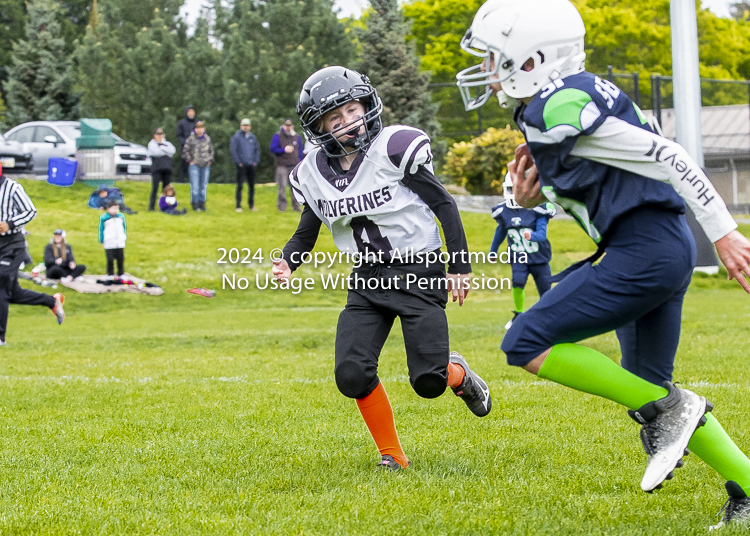 communty football Spartans Warrioirs Westshore Goudy SOUTHSIDE DAWGS  HARWOOD;communty football Spartans Warriors Westshore Goudy SOUTHSIDE DAWGS  HARWOOD cowichan bulldogs nanaimo footbAll isn