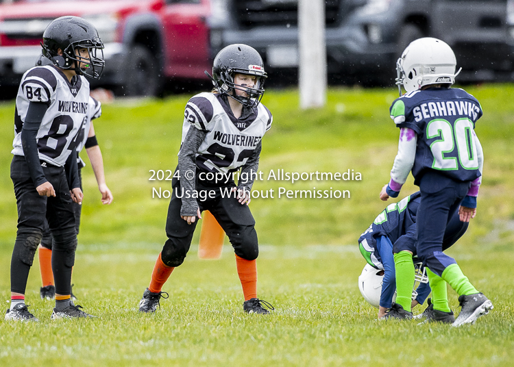 communty football Spartans Warrioirs Westshore Goudy SOUTHSIDE DAWGS  HARWOOD;communty football Spartans Warriors Westshore Goudy SOUTHSIDE DAWGS  HARWOOD cowichan bulldogs nanaimo footbAll isn