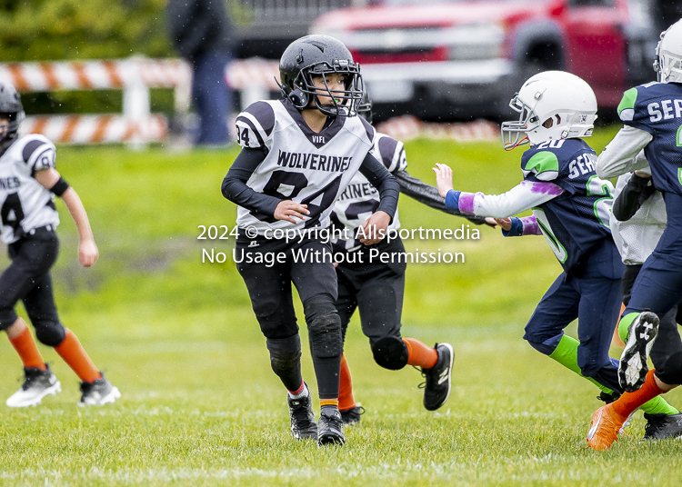 communty football Spartans Warrioirs Westshore Goudy SOUTHSIDE DAWGS  HARWOOD;communty football Spartans Warriors Westshore Goudy SOUTHSIDE DAWGS  HARWOOD cowichan bulldogs nanaimo footbAll isn