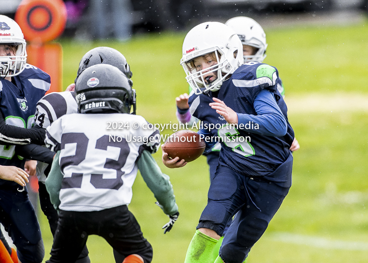 communty football Spartans Warrioirs Westshore Goudy SOUTHSIDE DAWGS  HARWOOD;communty football Spartans Warriors Westshore Goudy SOUTHSIDE DAWGS  HARWOOD cowichan bulldogs nanaimo footbAll isn