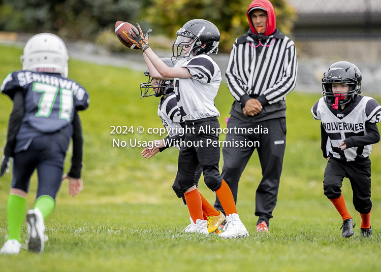 communty football Spartans Warrioirs Westshore Goudy SOUTHSIDE DAWGS  HARWOOD;communty football Spartans Warriors Westshore Goudy SOUTHSIDE DAWGS  HARWOOD cowichan bulldogs nanaimo footbAll isn