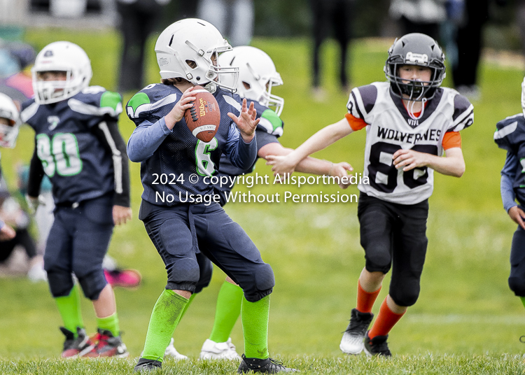 communty football Spartans Warrioirs Westshore Goudy SOUTHSIDE DAWGS  HARWOOD;communty football Spartans Warriors Westshore Goudy SOUTHSIDE DAWGS  HARWOOD cowichan bulldogs nanaimo footbAll isn