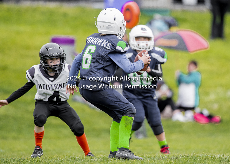 communty football Spartans Warrioirs Westshore Goudy SOUTHSIDE DAWGS  HARWOOD;communty football Spartans Warriors Westshore Goudy SOUTHSIDE DAWGS  HARWOOD cowichan bulldogs nanaimo footbAll isn