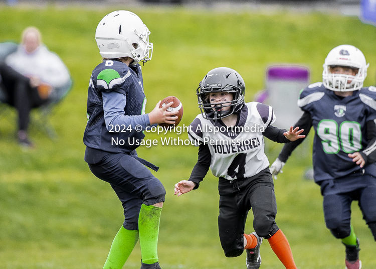 communty football Spartans Warrioirs Westshore Goudy SOUTHSIDE DAWGS  HARWOOD;communty football Spartans Warriors Westshore Goudy SOUTHSIDE DAWGS  HARWOOD cowichan bulldogs nanaimo footbAll isn