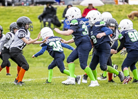 communty-football-Spartans-Warrioirs-Westshore-Goudy-SOUTHSIDE-DAWGS-HARWOOD;communty-football-Spartans-Warriors-Westshore-Goudy-SOUTHSIDE-DAWGS-HARWOOD-cowichan-bulldogs-nanaimo-footbAll-isn