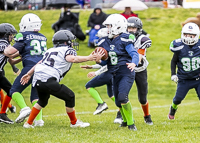 communty-football-Spartans-Warrioirs-Westshore-Goudy-SOUTHSIDE-DAWGS-HARWOOD;communty-football-Spartans-Warriors-Westshore-Goudy-SOUTHSIDE-DAWGS-HARWOOD-cowichan-bulldogs-nanaimo-footbAll-isn