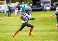 communty-football-Spartans-Warrioirs-Westshore-Goudy-SOUTHSIDE-DAWGS-HARWOOD;communty-football-Spartans-Warriors-Westshore-Goudy-SOUTHSIDE-DAWGS-HARWOOD-cowichan-bulldogs-nanaimo-footbAll-isn