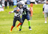 communty-football-Spartans-Warrioirs-Westshore-Goudy-SOUTHSIDE-DAWGS-HARWOOD;communty-football-Spartans-Warriors-Westshore-Goudy-SOUTHSIDE-DAWGS-HARWOOD-cowichan-bulldogs-nanaimo-footbAll-isn