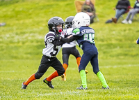 communty-football-Spartans-Warrioirs-Westshore-Goudy-SOUTHSIDE-DAWGS-HARWOOD;communty-football-Spartans-Warriors-Westshore-Goudy-SOUTHSIDE-DAWGS-HARWOOD-cowichan-bulldogs-nanaimo-footbAll-isn