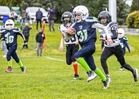 communty-football-Spartans-Warrioirs-Westshore-Goudy-SOUTHSIDE-DAWGS-HARWOOD;communty-football-Spartans-Warriors-Westshore-Goudy-SOUTHSIDE-DAWGS-HARWOOD-cowichan-bulldogs-nanaimo-footbAll-isn