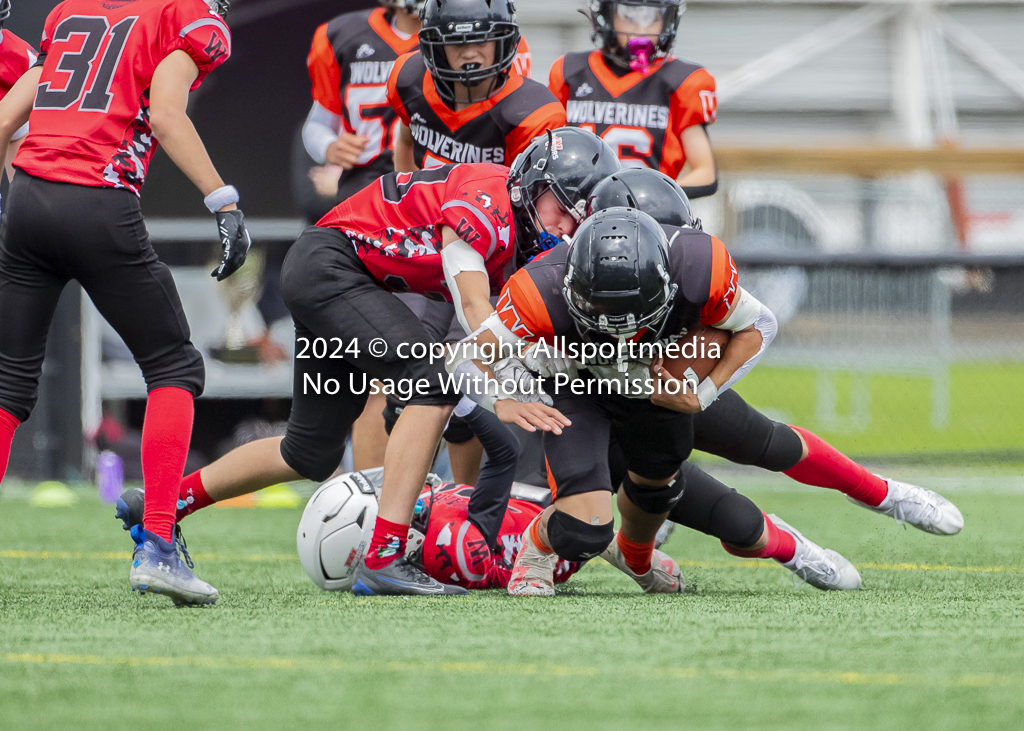 VICFA Gold Cup Final JB Warriors Wolverines Allsportmedia. Championship