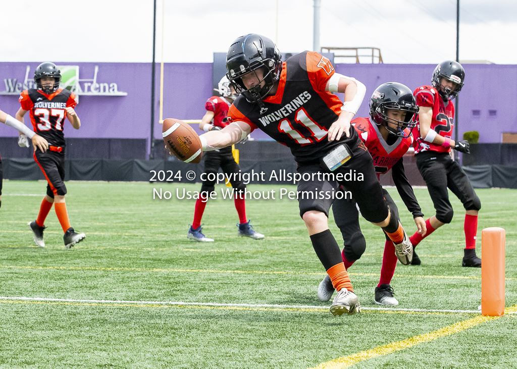 VICFA Gold Cup Final JB Warriors Wolverines Allsportmedia. Championship