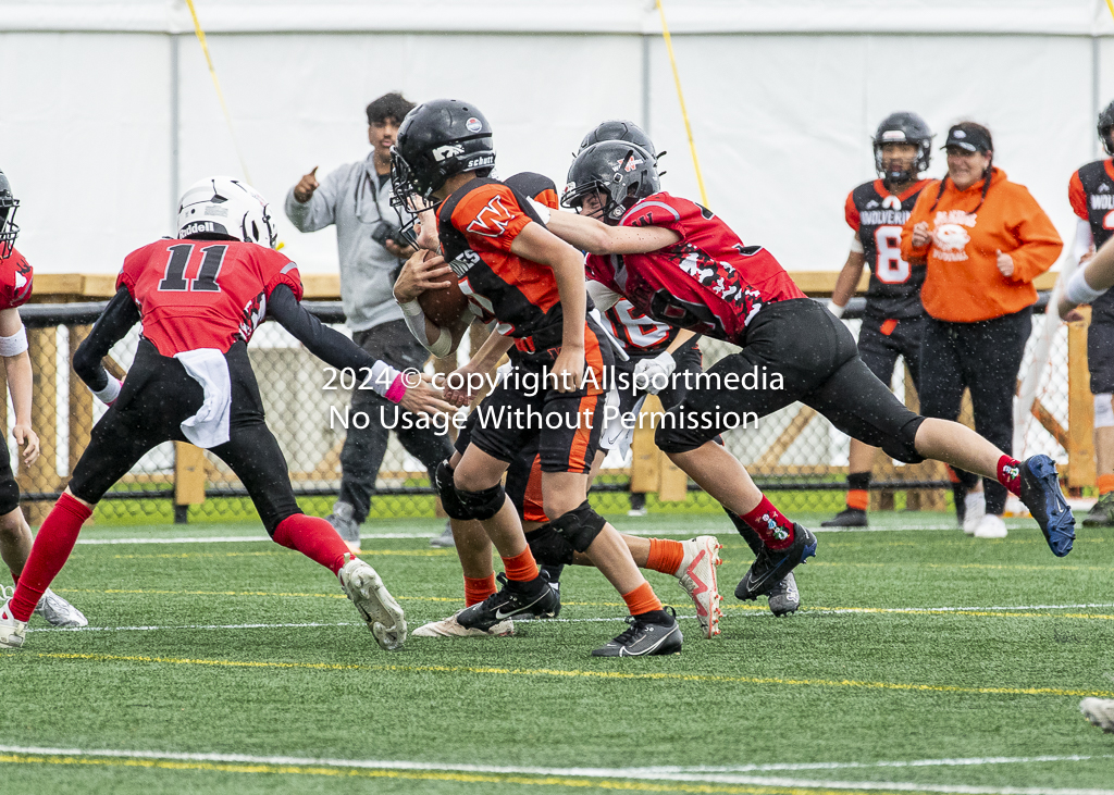 VICFA Gold Cup Final JB Warriors Wolverines Allsportmedia. Championship