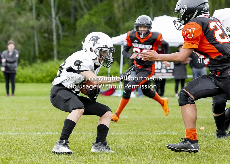 Saanich Wolverines Victoria Spartans Island Football Allsportmedia