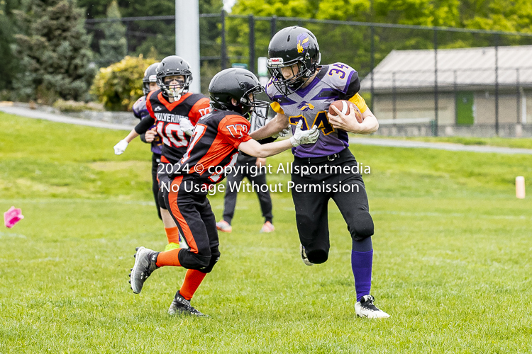 Oceanside Lions Parksville Saanich Wolverines GVMFA BCCPFA VICFA;communty football Spartans Warriors Westshore Goudy SOUTHSIDE DAWGS  HARWOOD cowichan bulldogs nanaimo footbsll isn