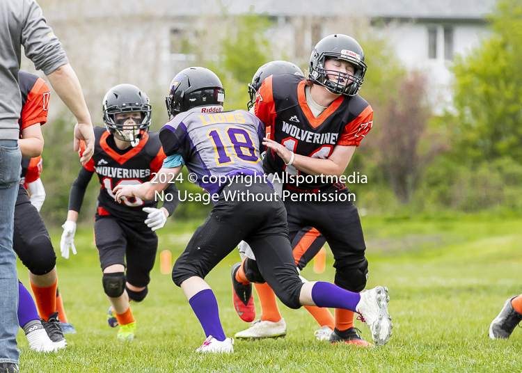 Oceanside Lions Parksville Saanich Wolverines GVMFA BCCPFA VICFA;communty football Spartans Warriors Westshore Goudy SOUTHSIDE DAWGS  HARWOOD cowichan bulldogs nanaimo footbsll isn