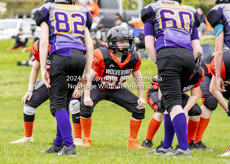 Oceanside Lions Parksville Saanich Wolverines GVMFA BCCPFA VICFA;communty football Spartans Warriors Westshore Goudy SOUTHSIDE DAWGS  HARWOOD cowichan bulldogs nanaimo footbsll isn