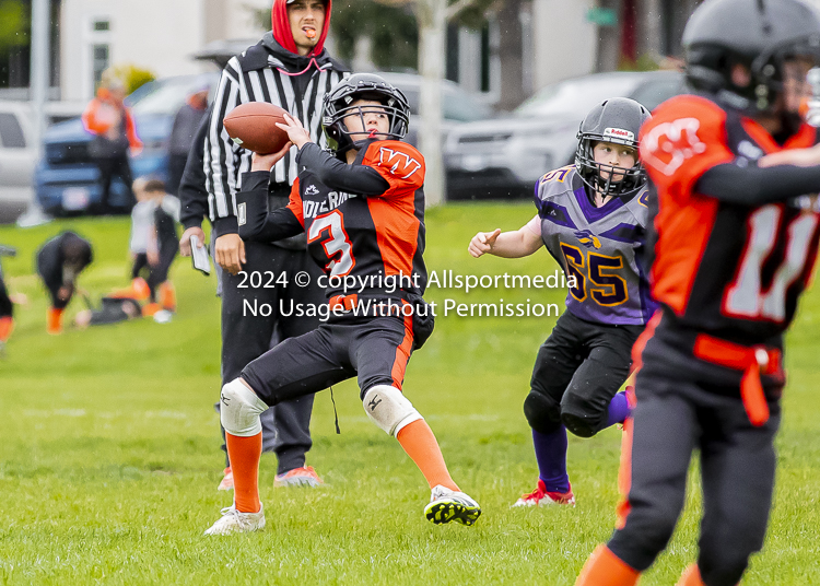 Oceanside Lions Parksville Saanich Wolverines GVMFA BCCPFA VICFA;communty football Spartans Warriors Westshore Goudy SOUTHSIDE DAWGS  HARWOOD cowichan bulldogs nanaimo footbsll isn