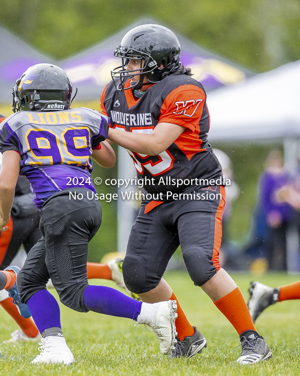 Oceanside Lions Parksville Saanich Wolverines GVMFA BCCPFA VICFA;communty football Spartans Warriors Westshore Goudy SOUTHSIDE DAWGS  HARWOOD cowichan bulldogs nanaimo footbsll isn