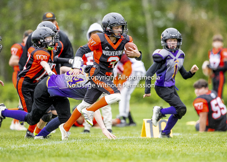 Oceanside Lions Parksville Saanich Wolverines GVMFA BCCPFA VICFA;communty football Spartans Warriors Westshore Goudy SOUTHSIDE DAWGS  HARWOOD cowichan bulldogs nanaimo footbsll isn